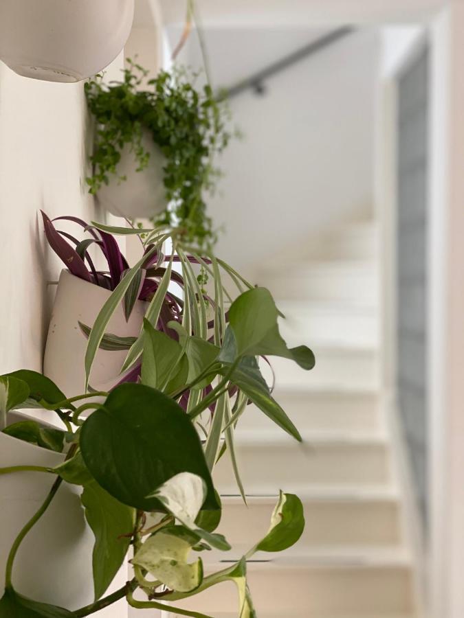 Romantic Wellness Bnb Noordwijk Kültér fotó